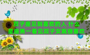 双子座见到喜欢的人 什么星座男一看见双子女就很喜欢